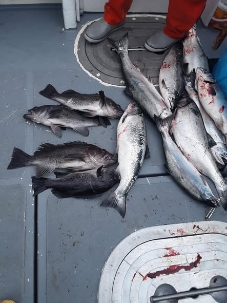 Combo Fishing Westport WA