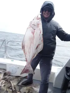 Man holding large halibut on boat