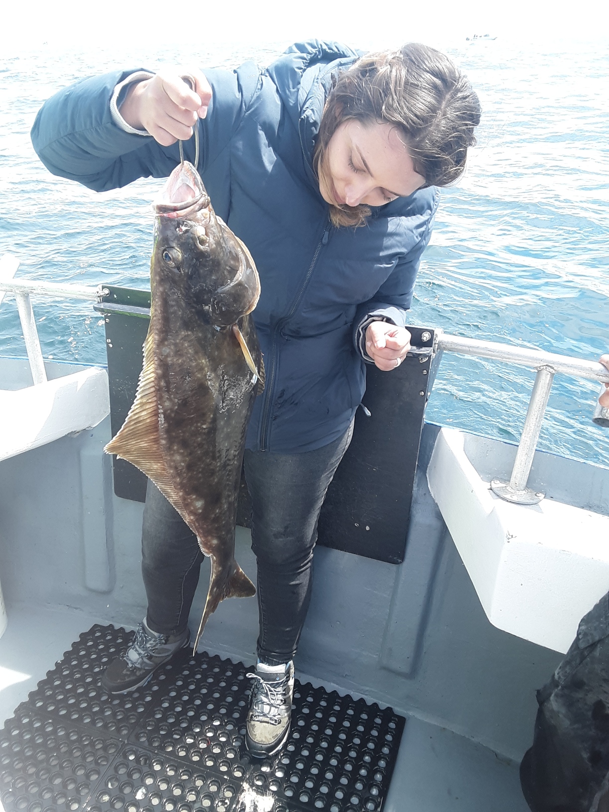 Rockfish